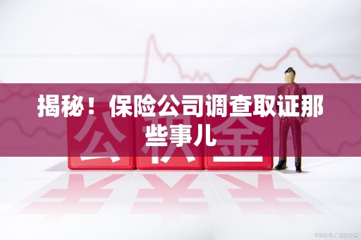 城厢揭秘！保险公司调查取证那些事儿