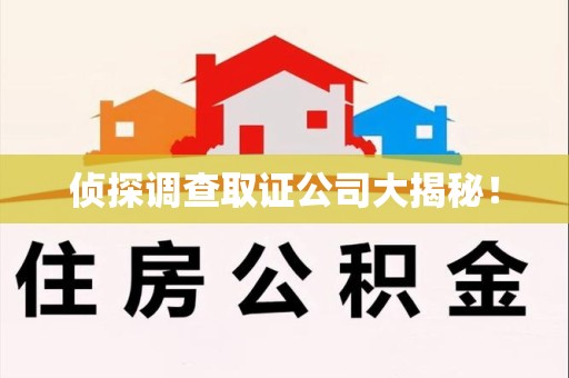 城厢侦探调查取证公司大揭秘！