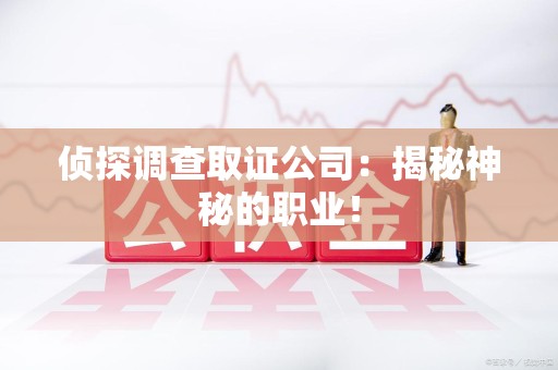 城厢侦探调查取证公司：揭秘神秘的职业！