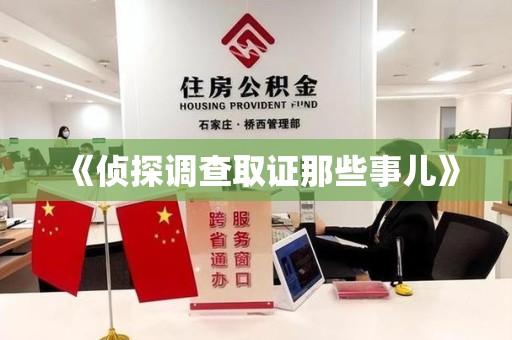 城厢《侦探调查取证那些事儿》