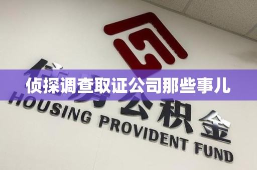 城厢侦探调查取证公司那些事儿