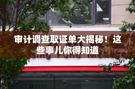 城厢审计调查取证单大揭秘！这些事儿你得知道