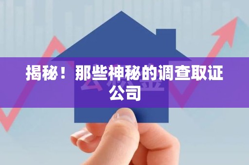 城厢揭秘！那些神秘的调查取证公司