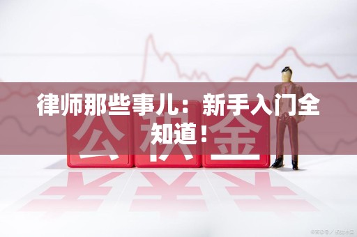 城厢律师那些事儿：新手入门全知道！