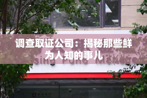城厢调查取证公司：揭秘那些鲜为人知的事儿