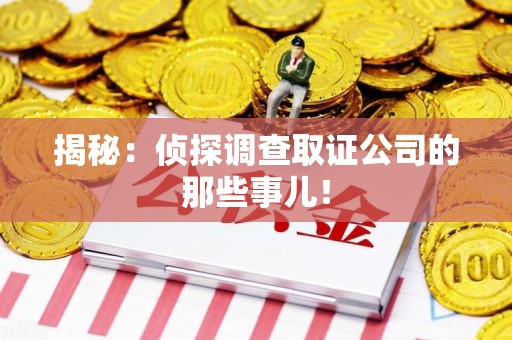 城厢揭秘：侦探调查取证公司的那些事儿！