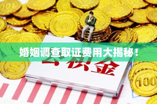城厢婚姻调查取证费用大揭秘！