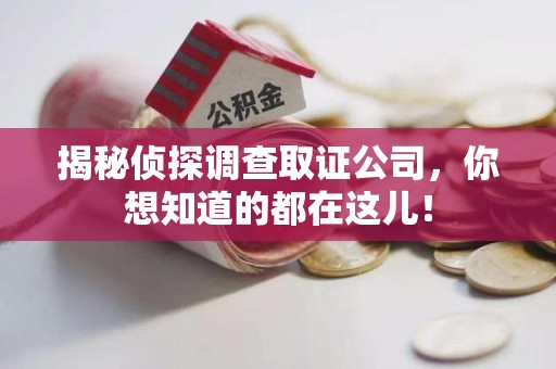 城厢揭秘侦探调查取证公司，你想知道的都在这儿！