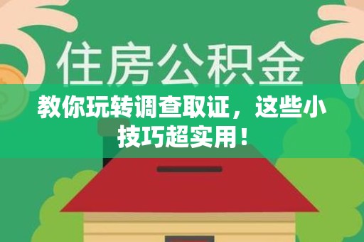 城厢教你玩转调查取证，这些小技巧超实用！