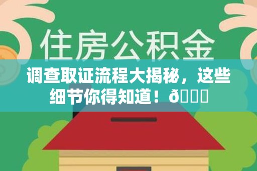 城厢调查取证流程大揭秘，这些细节你得知道！😎
