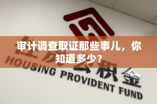 城厢审计调查取证那些事儿，你知道多少？