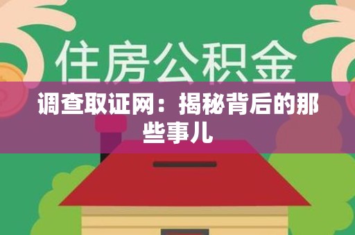 城厢调查取证网：揭秘背后的那些事儿