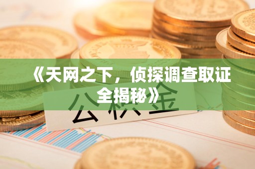 城厢《天网之下，侦探调查取证全揭秘》