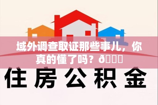 城厢域外调查取证那些事儿，你真的懂了吗？😎