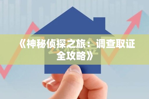 城厢《神秘侦探之旅：调查取证全攻略》