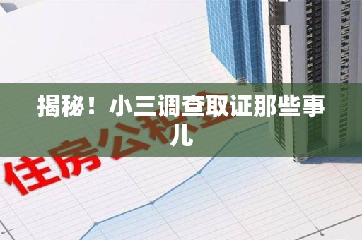 城厢揭秘！小三调查取证那些事儿
