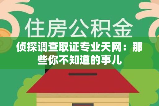 城厢侦探调查取证专业天网：那些你不知道的事儿
