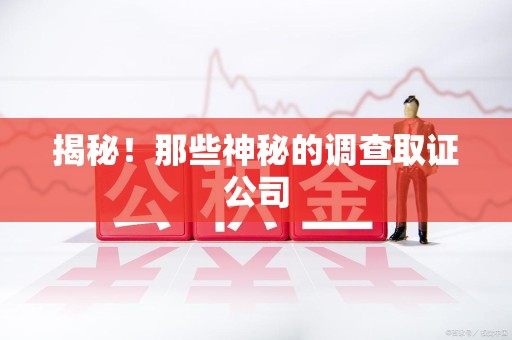 城厢揭秘！那些神秘的调查取证公司