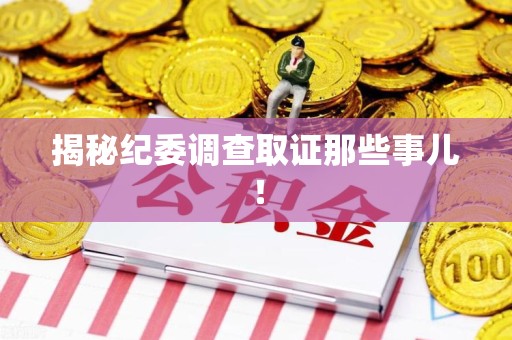 城厢揭秘纪委调查取证那些事儿！