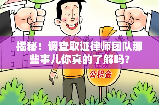 城厢揭秘！调查取证律师团队那些事儿你真的了解吗？