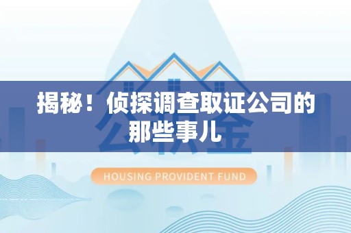 城厢揭秘！侦探调查取证公司的那些事儿
