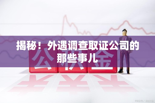 城厢揭秘！外遇调查取证公司的那些事儿