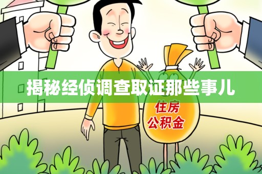 城厢揭秘经侦调查取证那些事儿