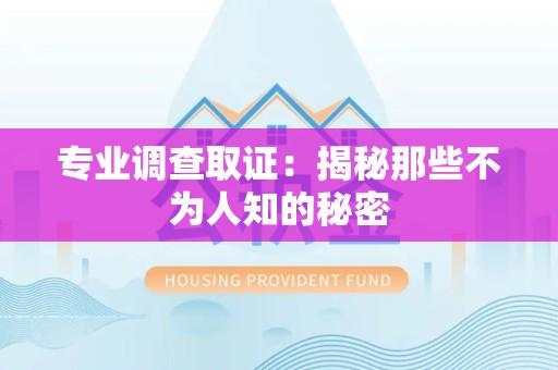 城厢专业调查取证：揭秘那些不为人知的秘密