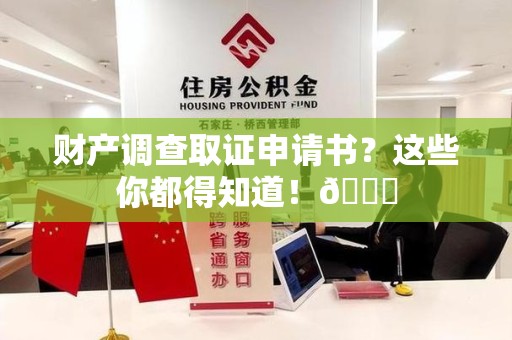 城厢财产调查取证申请书？这些你都得知道！😎