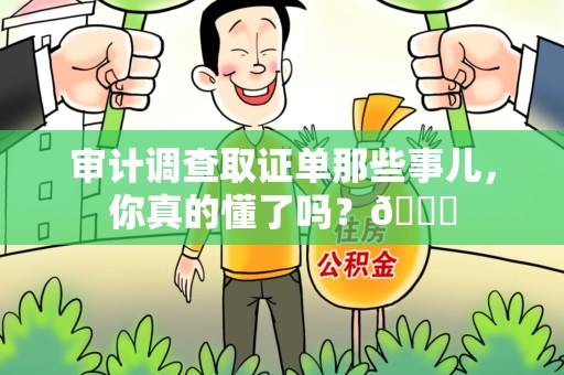 城厢审计调查取证单那些事儿，你真的懂了吗？😎