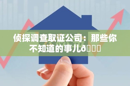 城厢侦探调查取证公司：那些你不知道的事儿😎