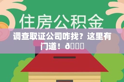 城厢调查取证公司咋找？这里有门道！😎