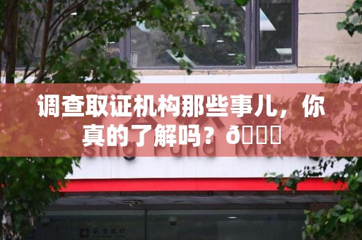 城厢调查取证机构那些事儿，你真的了解吗？😎