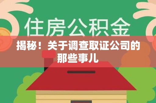 城厢揭秘！关于调查取证公司的那些事儿